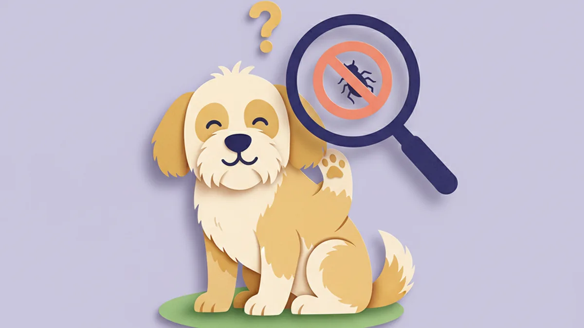 Paper-craft illustration of a dog scratching with a magnifying glass finding no fleas and a question mark, asking what causes flea-free itching