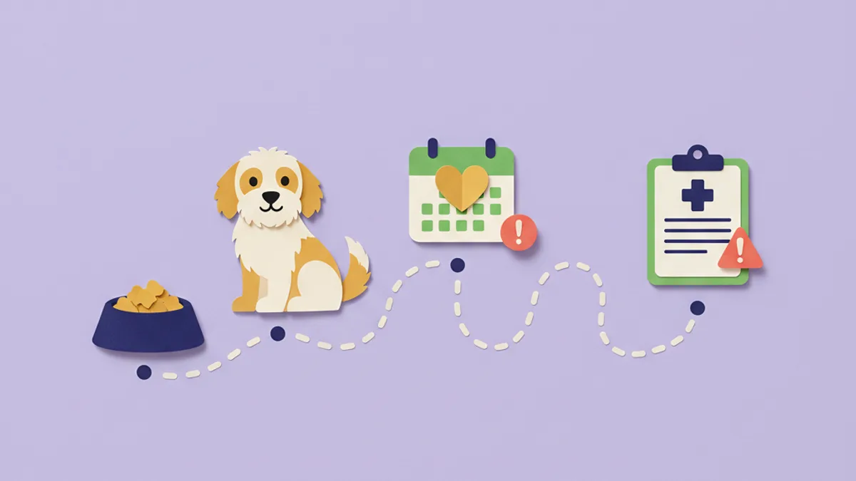 Paper-craft step-by-step path from a single bowl of novel-protein food through a calendar to a vet clipboard, showing a dog elimination diet